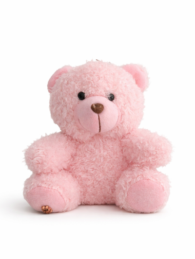 sugar teddy bear