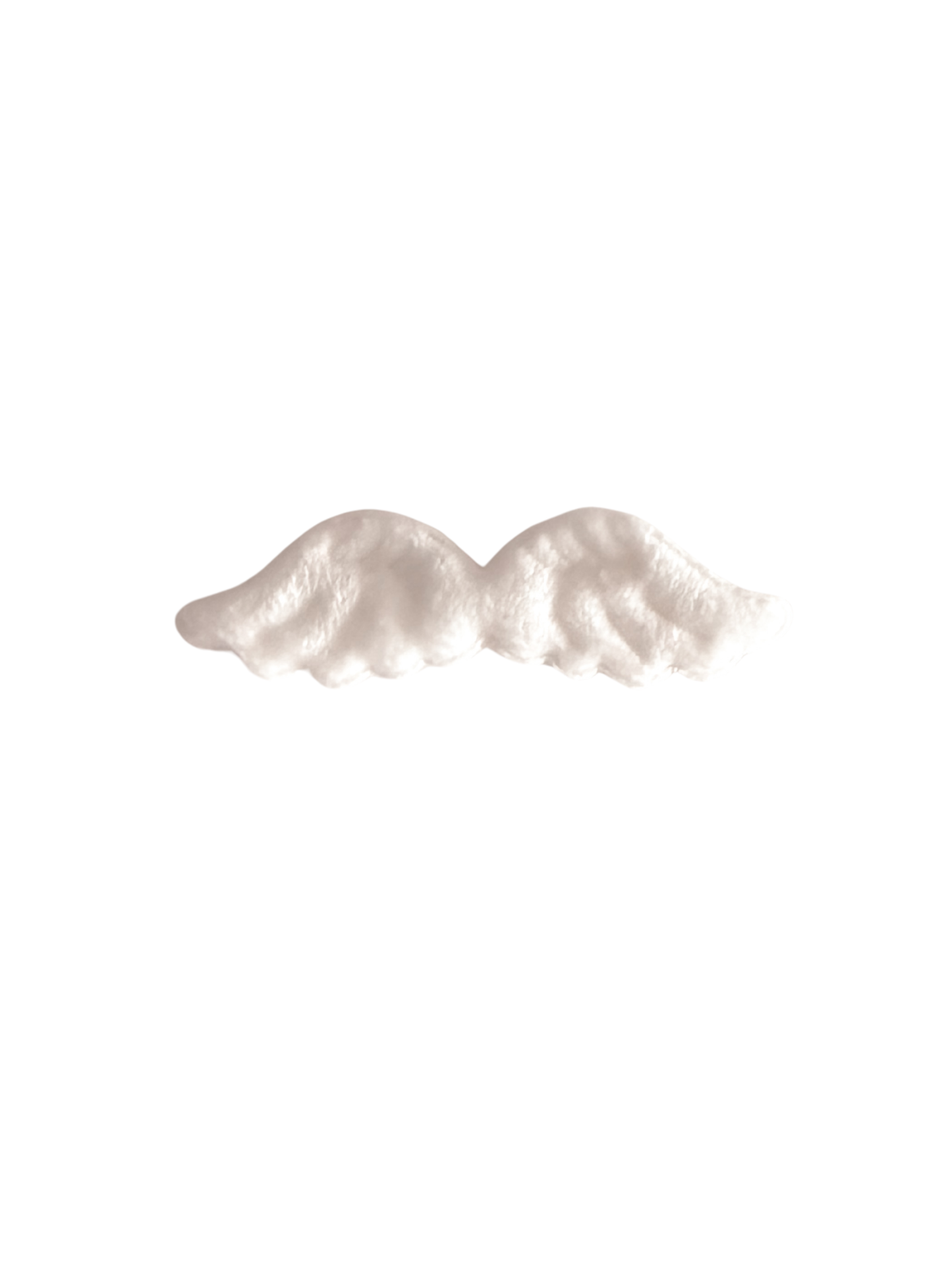 angel wings