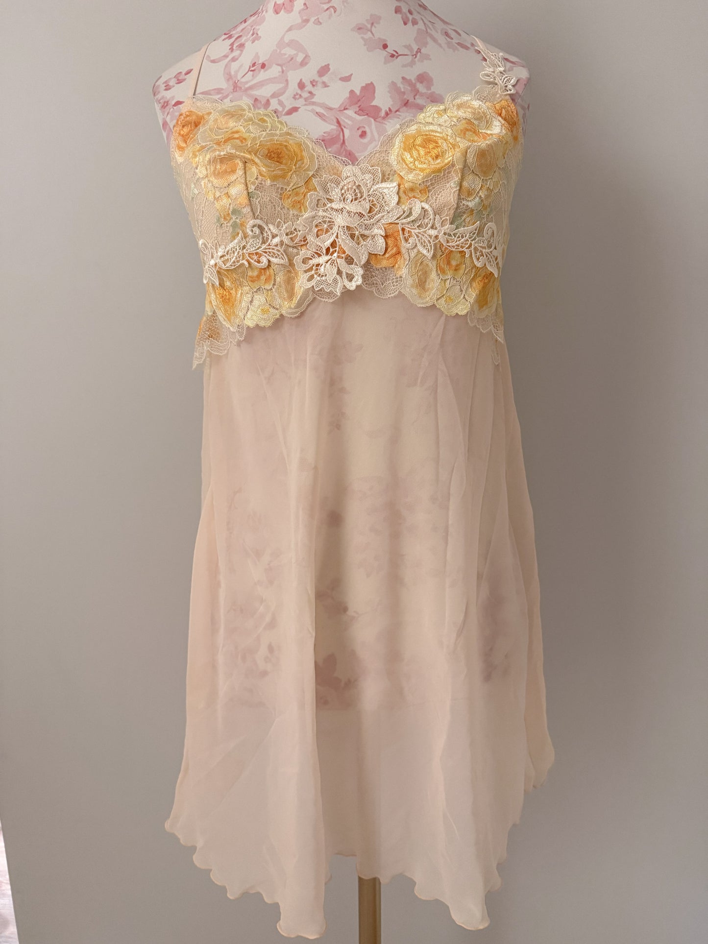 sunset fairy rose mimosa babydoll