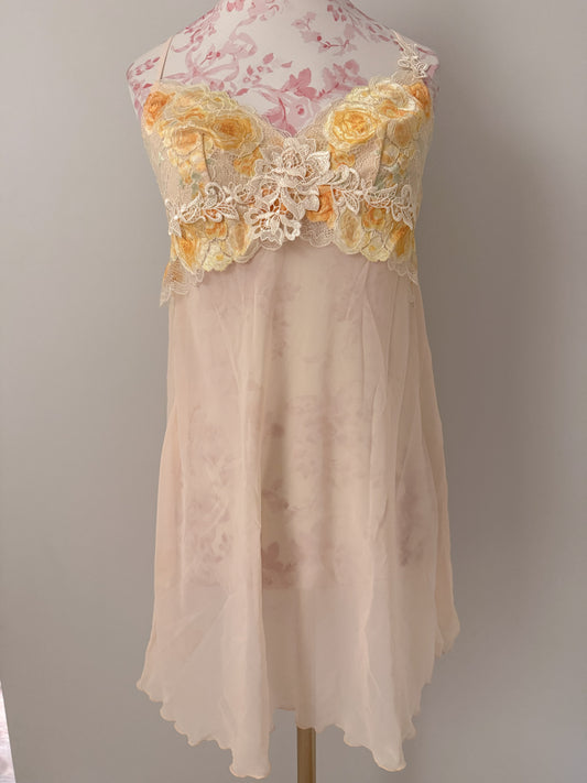sunset fairy rose mimosa babydoll