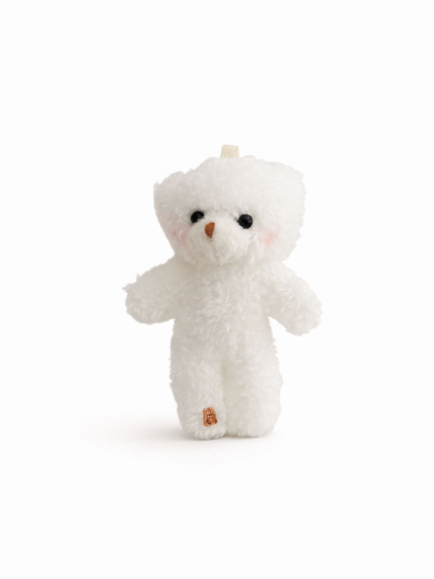 vanilla bean teddy bear
